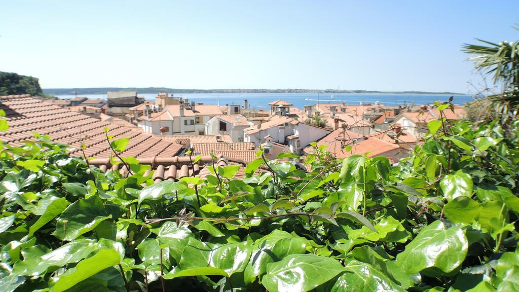 Green Oasis Family Apartments Piran Quarto foto